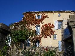 102/autumn vine on house 002.jpg